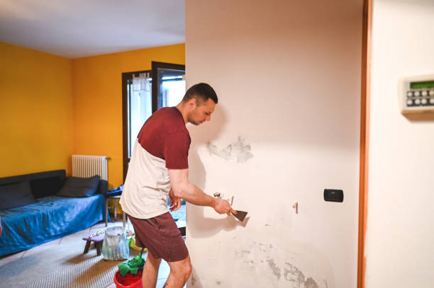 Best Professional Mold Removal  in Star, NC