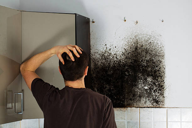 Star, NC Mold Removal Company